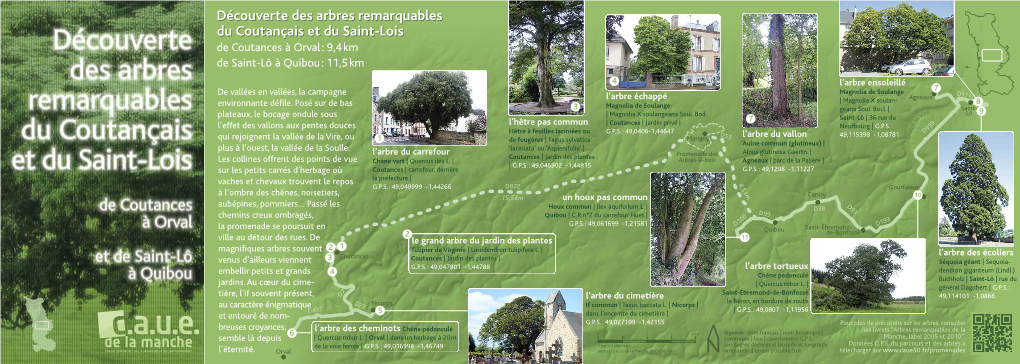 Découverte Des Arbres Remarquables Du Coutançais