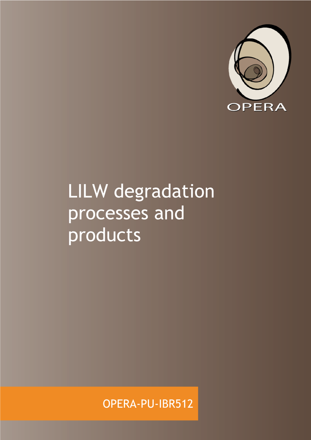 LILW Degradation Processes and Products