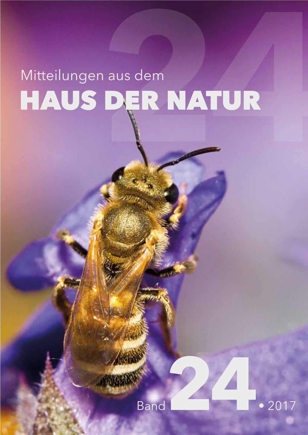 Thomas Rupp Der Prachtfalter Stagmatophora Heydeniella (Fischer V