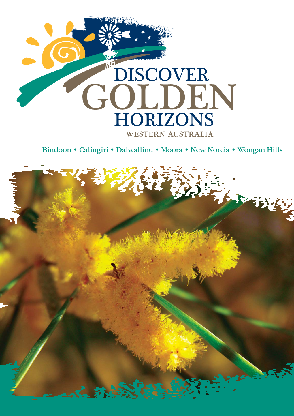 Discover Golden Horizons