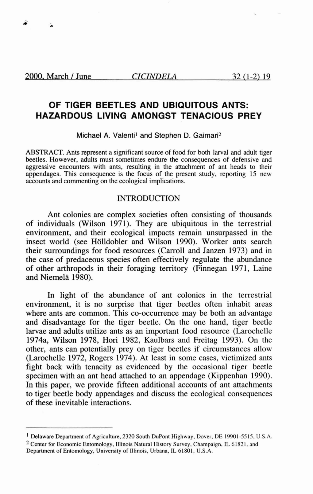 Of Tiger Beetles and Ubiquitous Ants: Hazardous Living Amongst Tenacious Prey