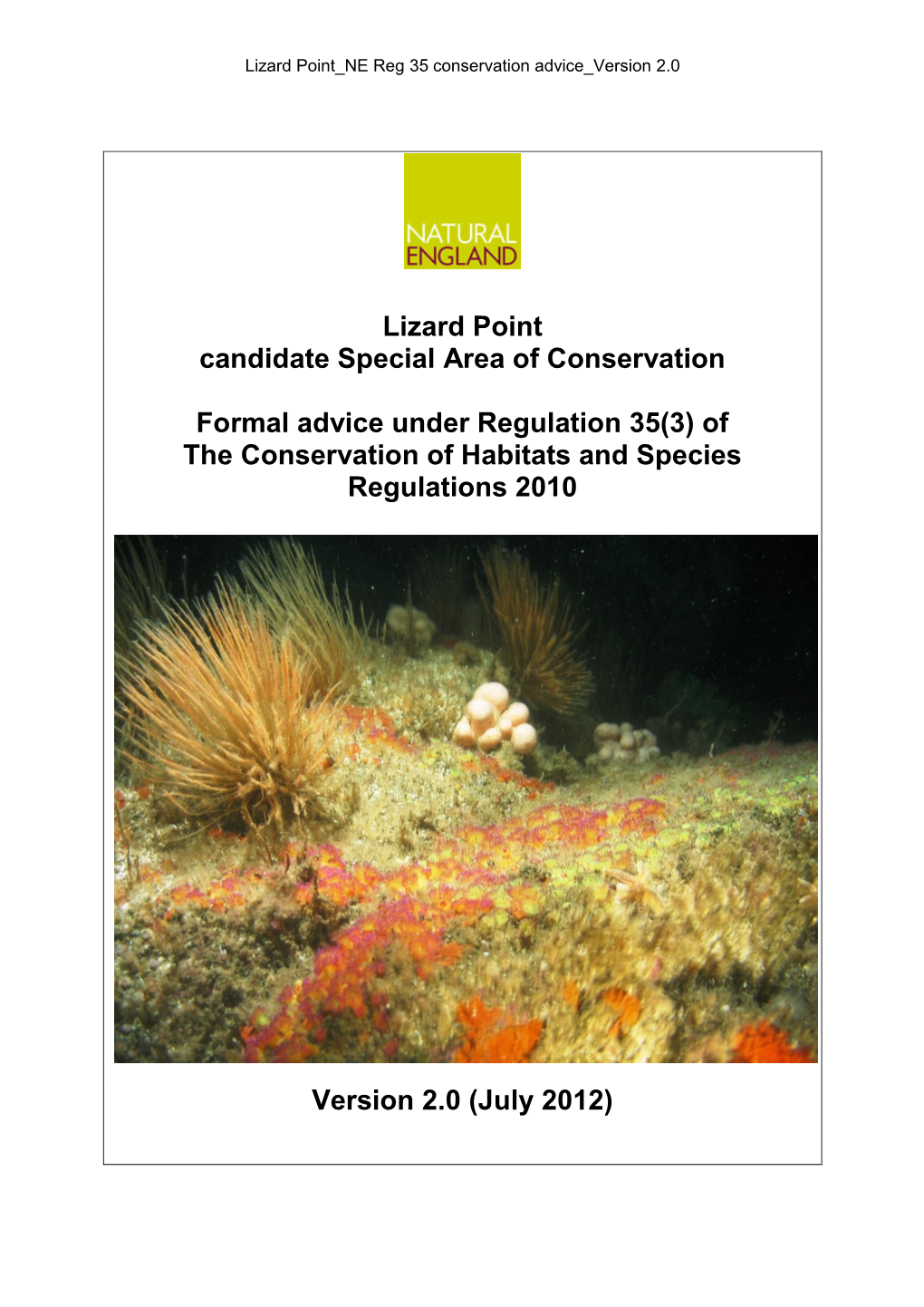 Lizard Point Csac Regulation 35 Conservation Advice Package