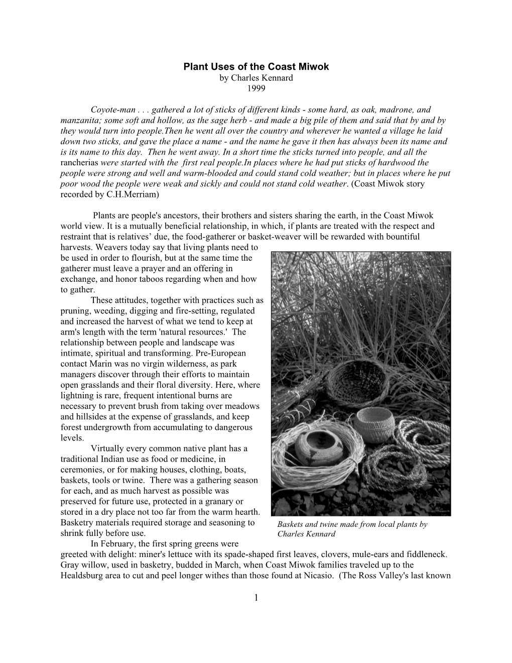 Plant Uses of the Coast Miwok by Charles Kennard 1999