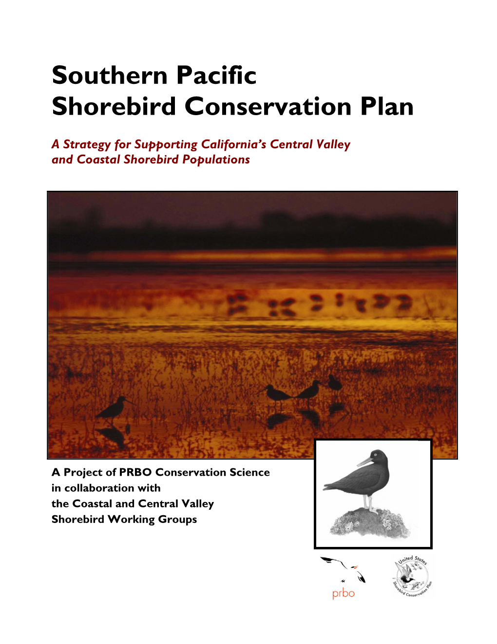 Southern Pacific Shorebird Conservation Plan