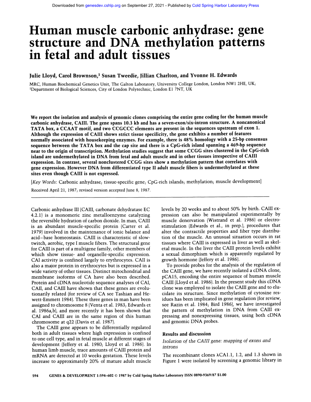 Human Muscle Carbonic Anhydrase: Gene Structure and DNA Methylation Patterns in Fetal and Adult Tissues