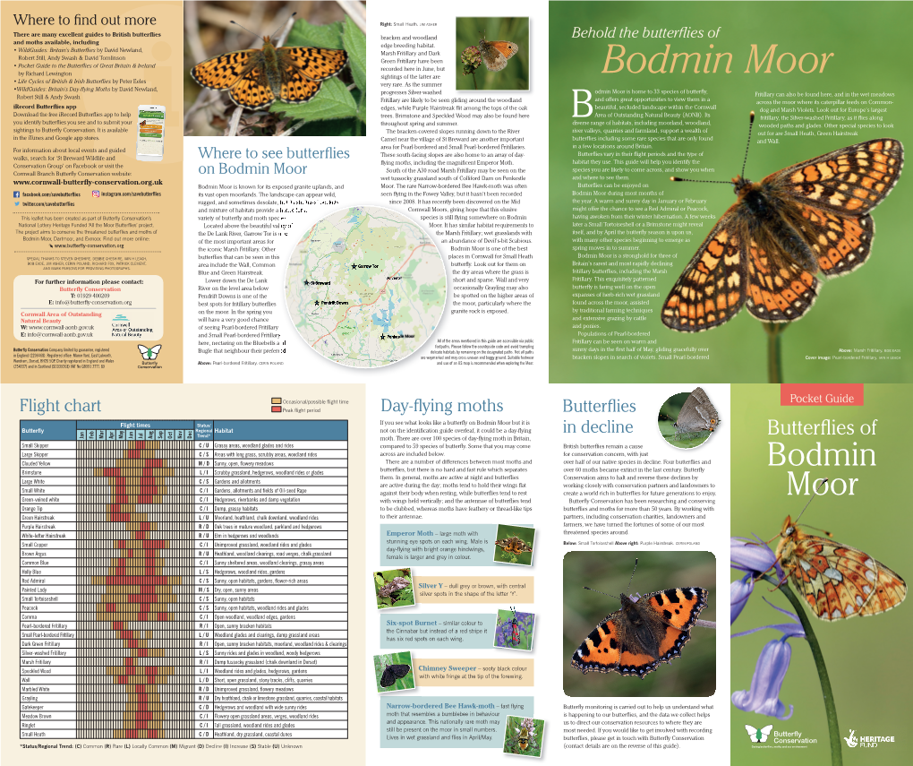 Behold the Butterflies of Bodmin Moor