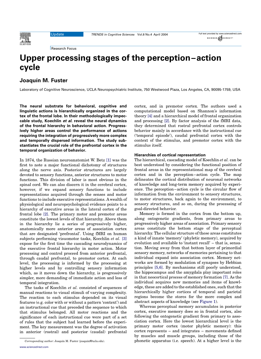 Upper Processing Stages of the Perception–Action Cycle