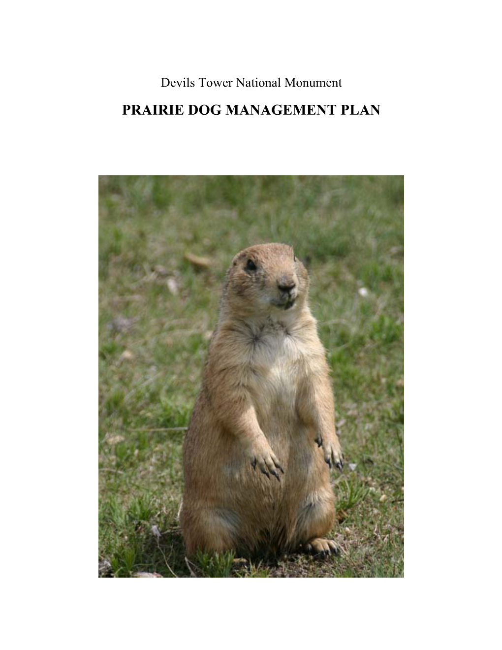 Prairie Dog Management Plan