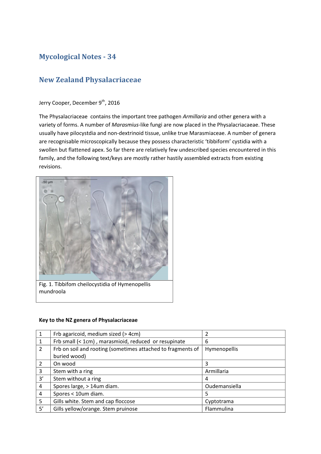 Mycological Notes - 34