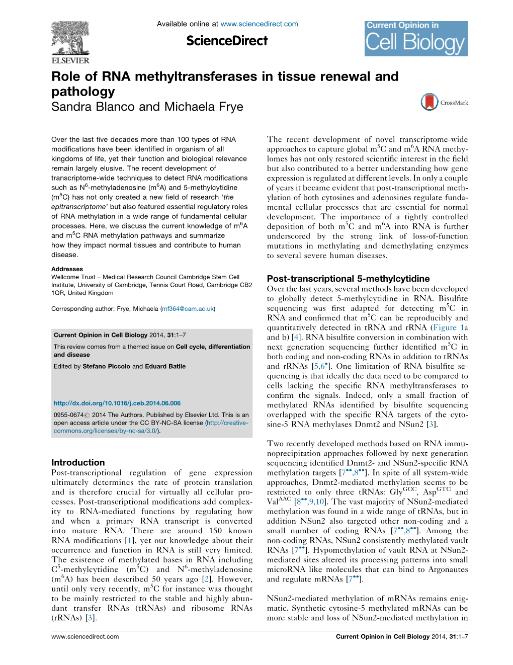 Role of RNA Methyltransferases in Tissue Renewal and Pathology