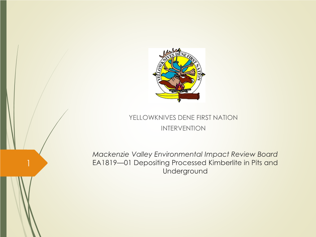 Yellowknives Dene First Nation Intervention