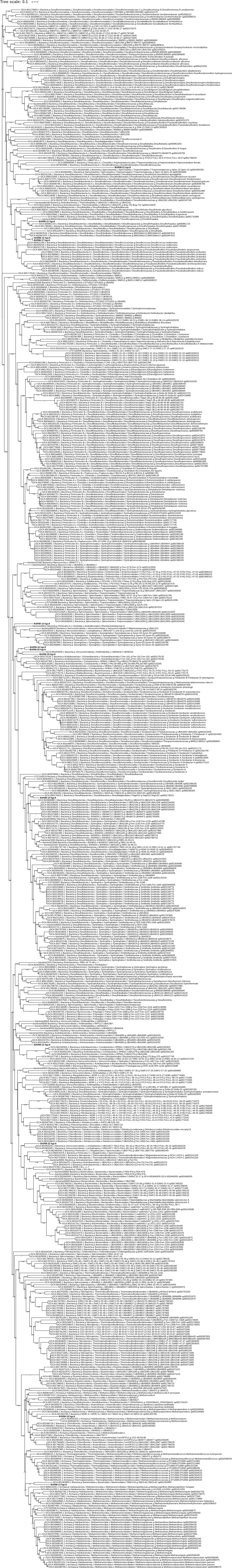 Tree Scale: 0.1