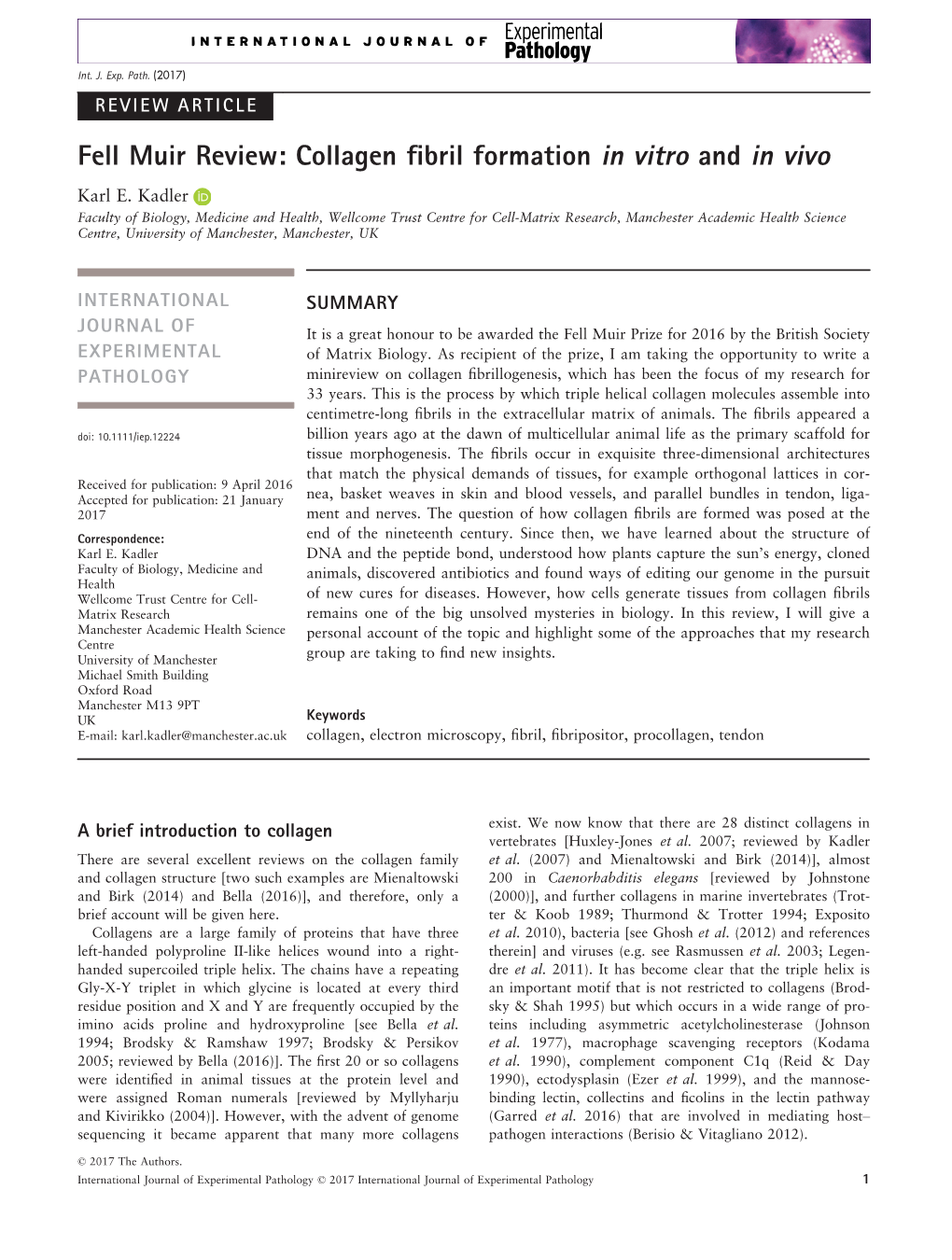 Fell Muir Review: Collagen Fibril Formation in Vitro and in Vivo