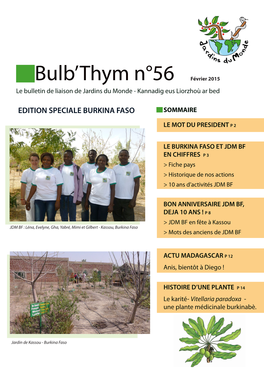 Bulb'thym N°56