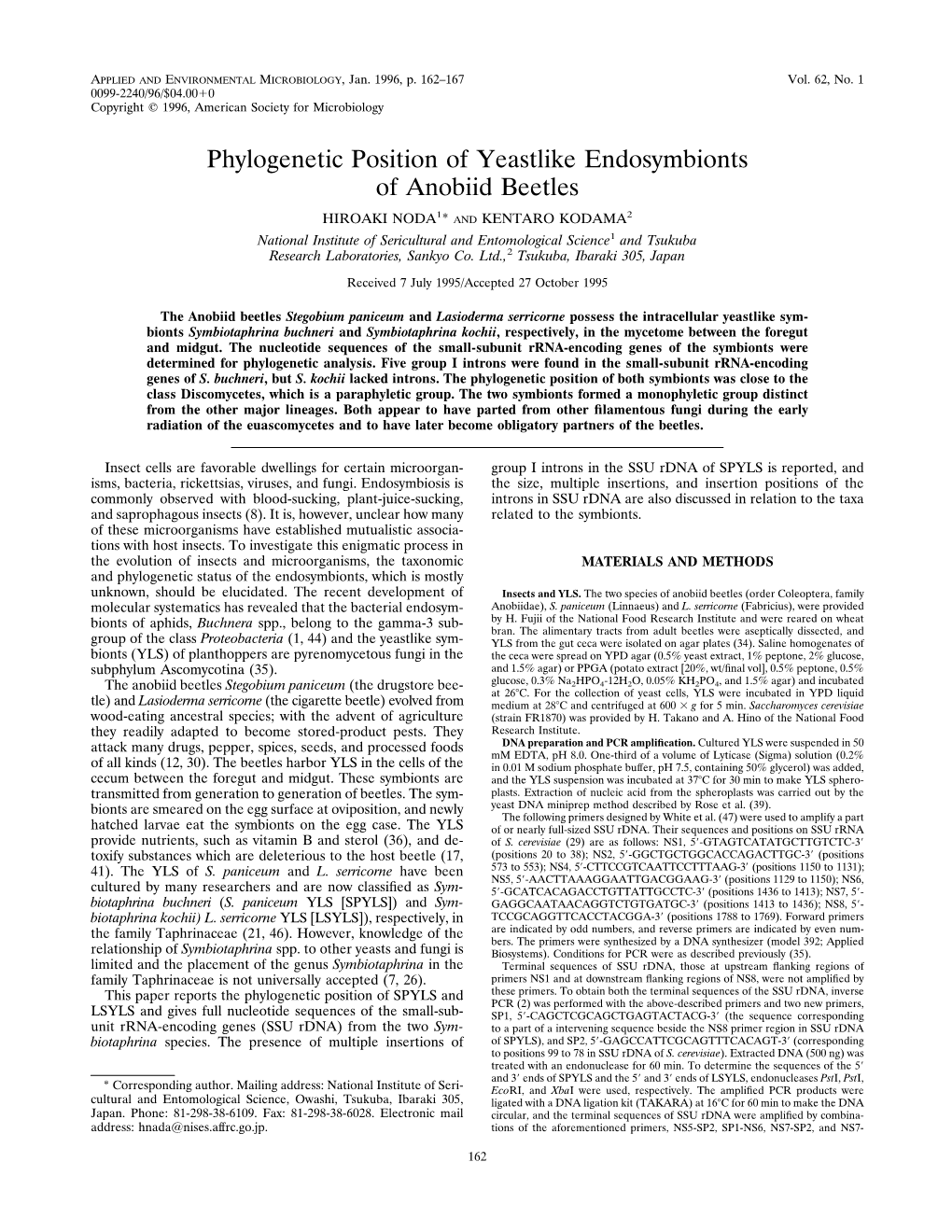 Phylogenetic Position of Yeastlike Endosymbionts of Anobiid Beetles