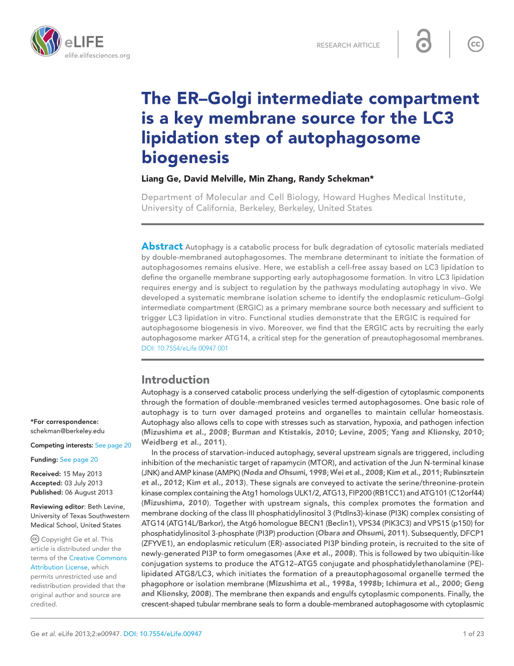 The ER–Golgi Intermediate Compartment Is a Key Membrane