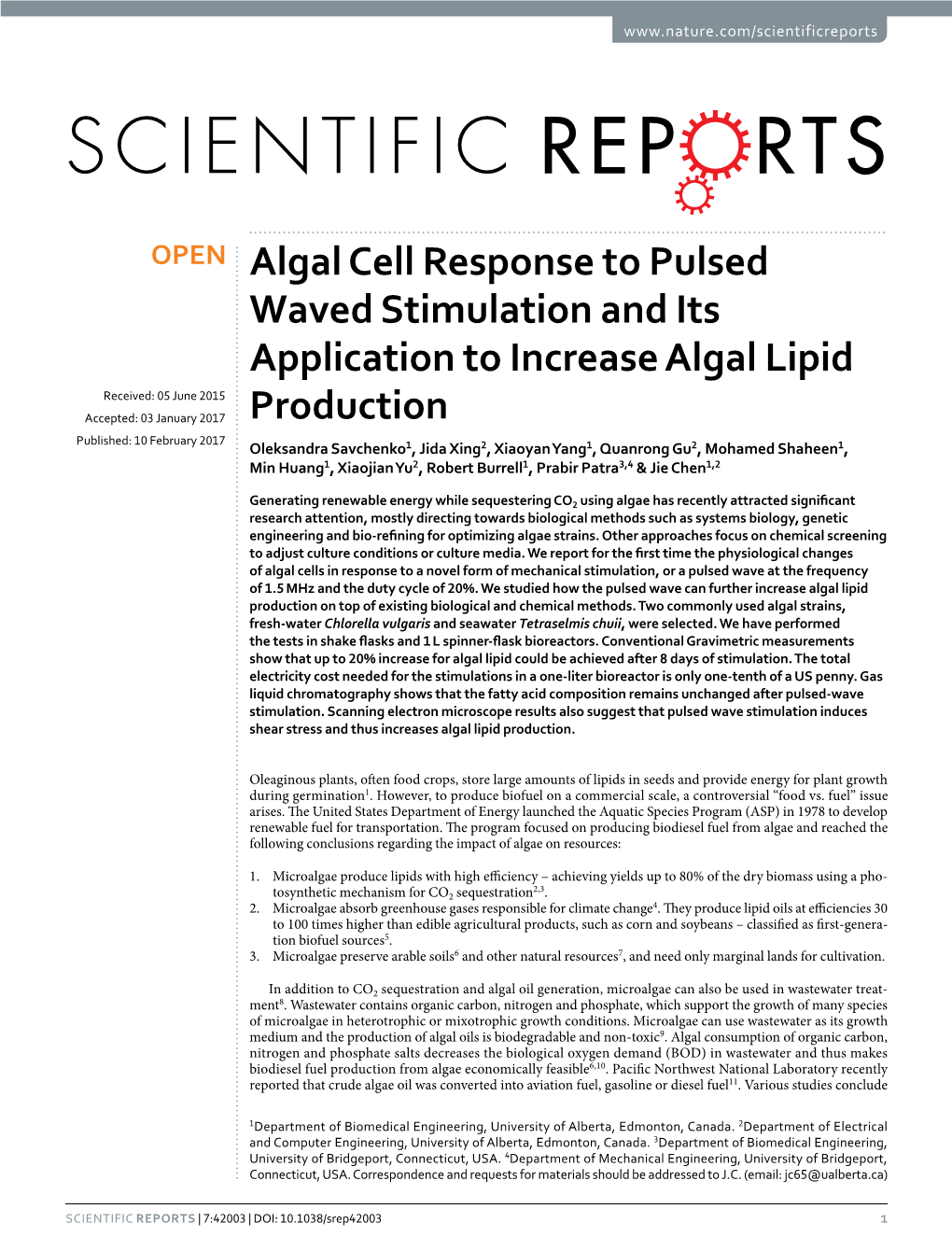 Algal Cell Response to Pulsed Waved Stimulation and Its Application To