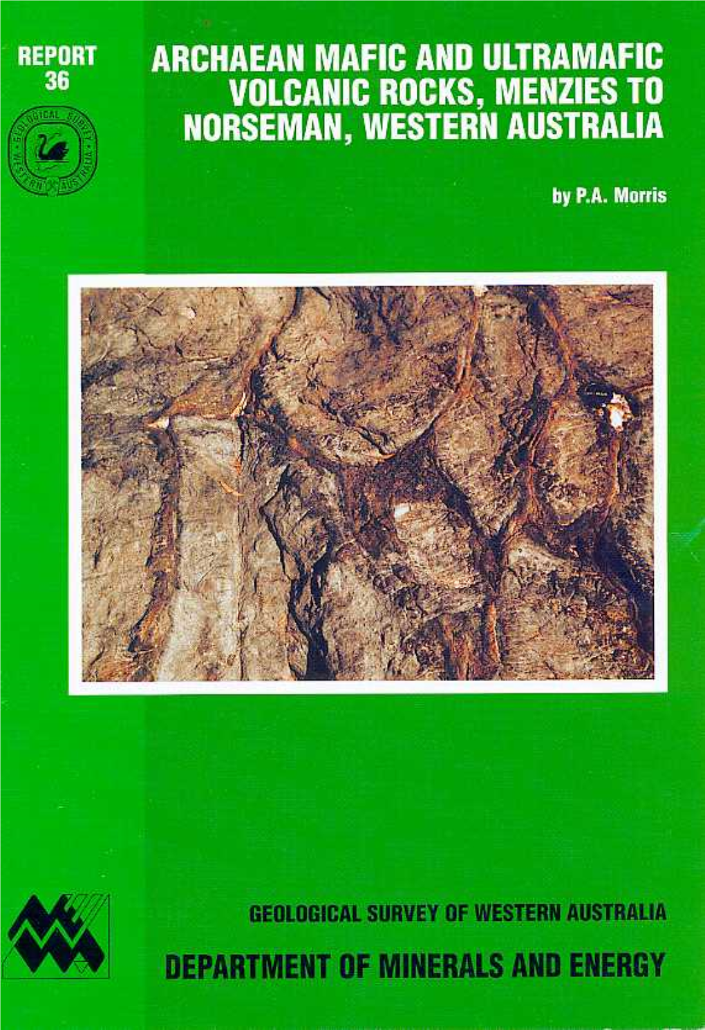 Report 36: Archaean Mafic and Ultramafic Volcanic Rocks, Menzies