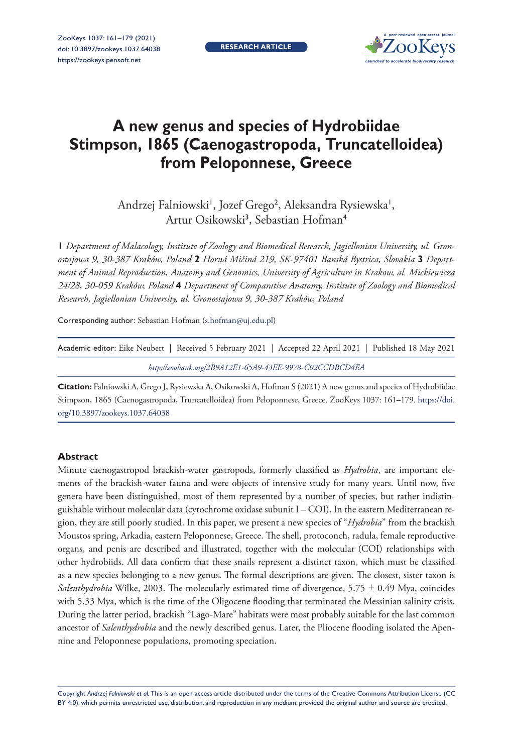 ﻿A New Genus and Species of Hydrobiidae Stimpson, 1865