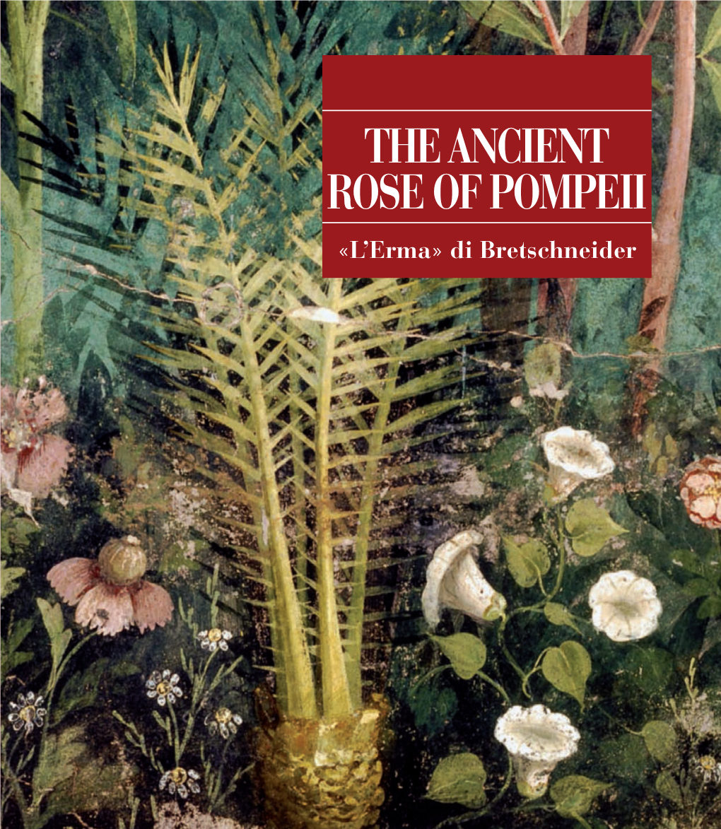 The Ancient Rose of Pompeii