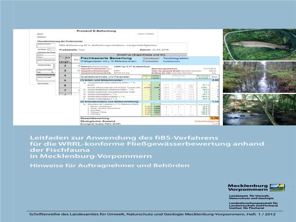 12 09167 Fibs Leitfaden Mv Ne