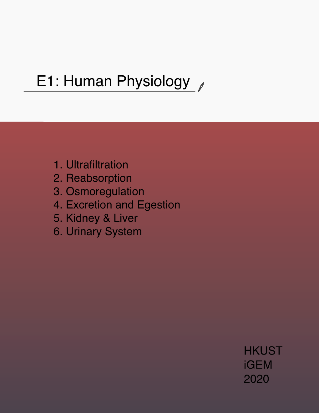 E1: Human Physiology Ehozfeesoi# Mmmmphysiology Notes My