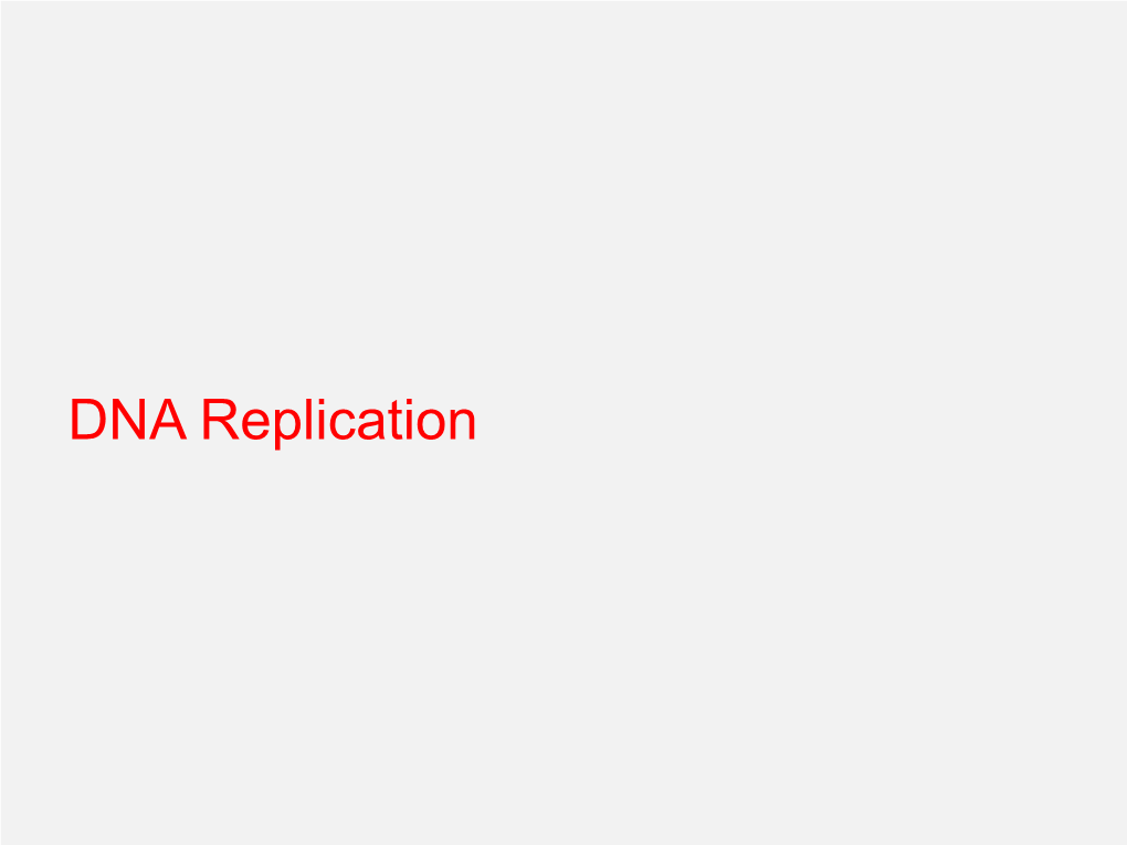 DNA Replication Introduction