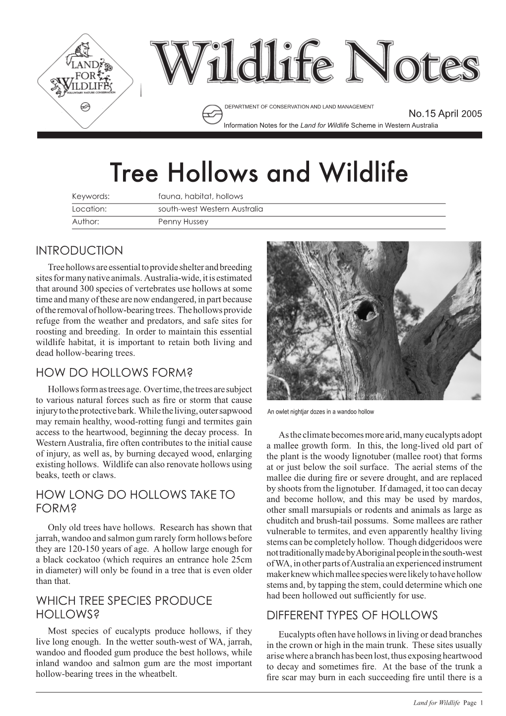 Tree Hollows and Wildlife 418.78 KB
