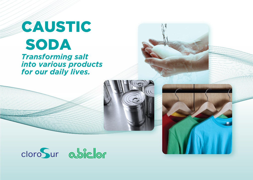 CAUSTIC SODA Transforming Salt Into Various Products for Our Daily Lives