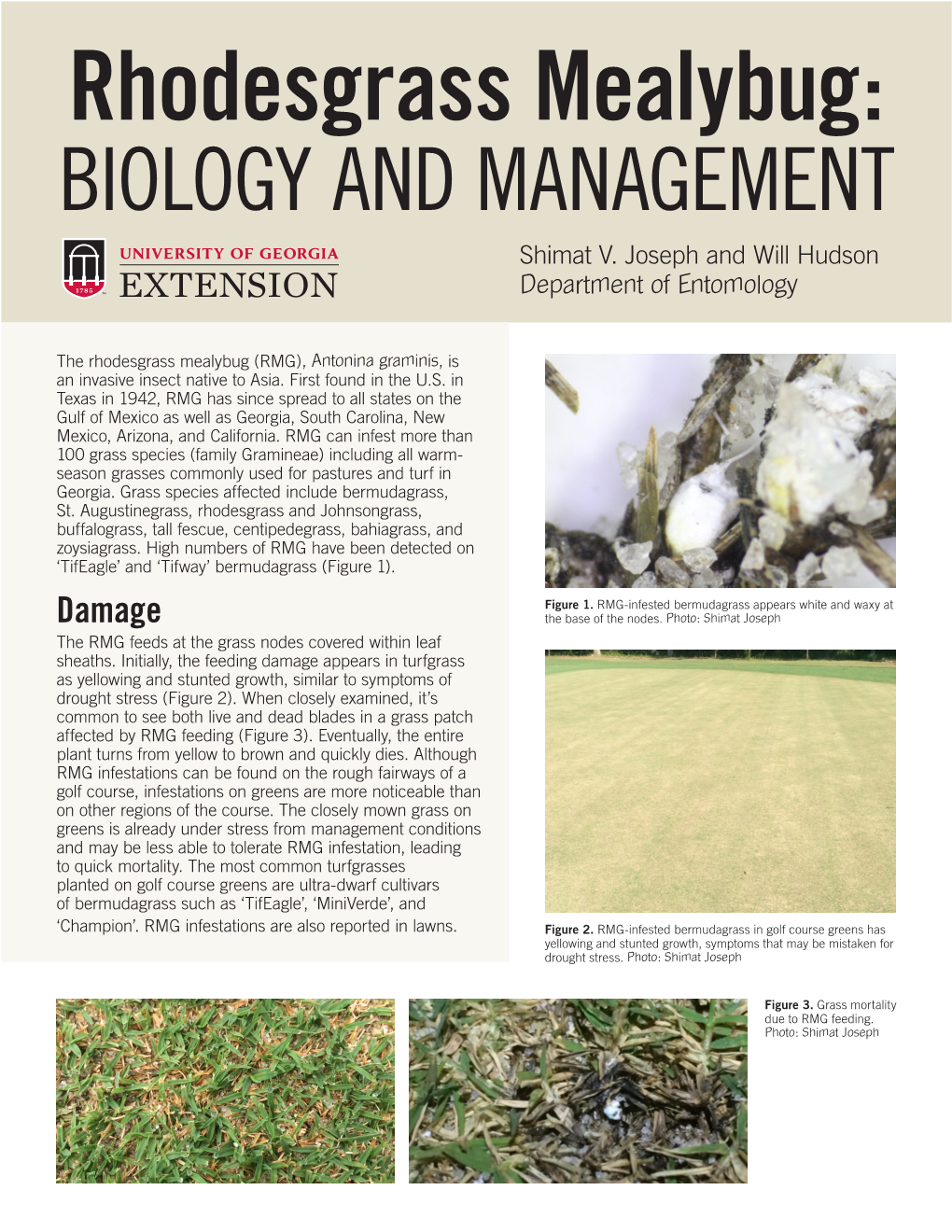 Rhodesgrass Mealybug: BIOLOGY and MANAGEMENT Shimat V