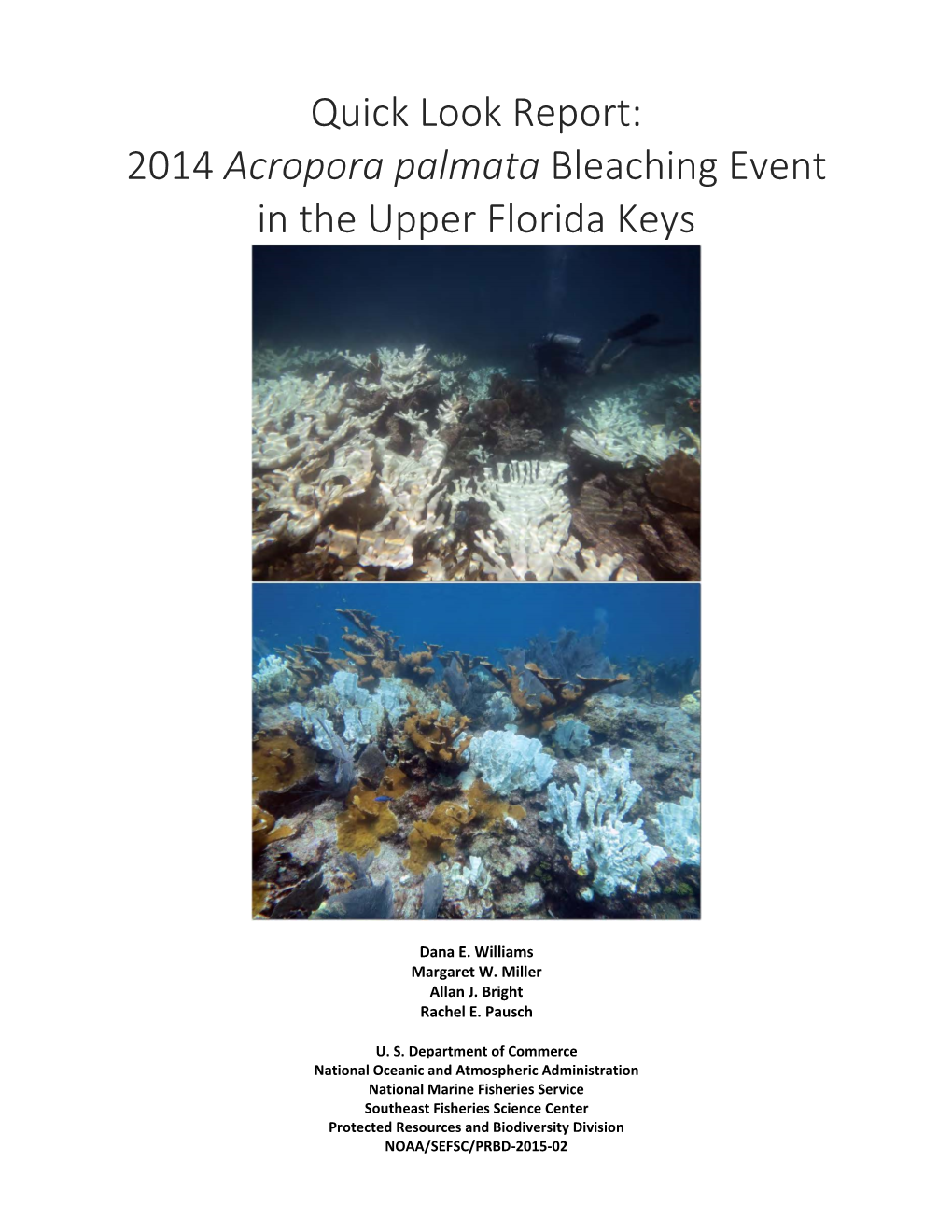 Quick Look Report: 2014 Acropora Palmata Bleaching Event in the Upper Florida Keys