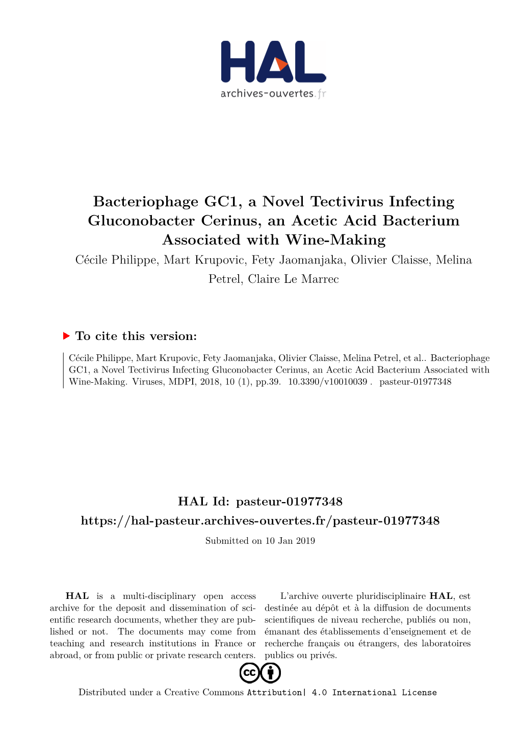 Bacteriophage GC1, a Novel Tectivirus Infecting Gluconobacter
