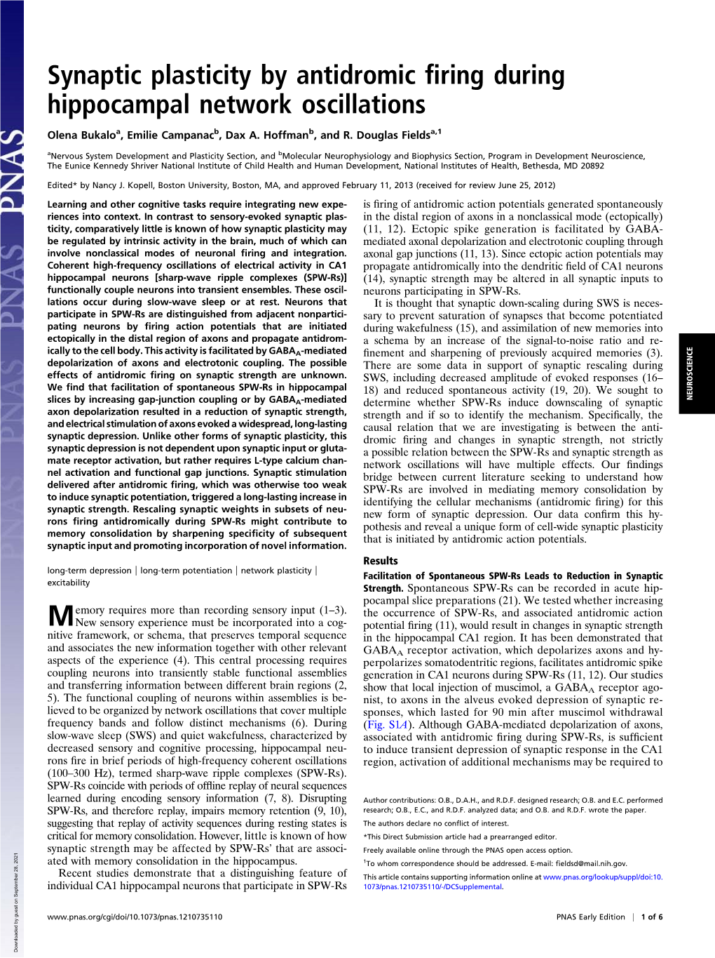 Synaptic Plasticity by Antidromic Firing During Hippocampal Network