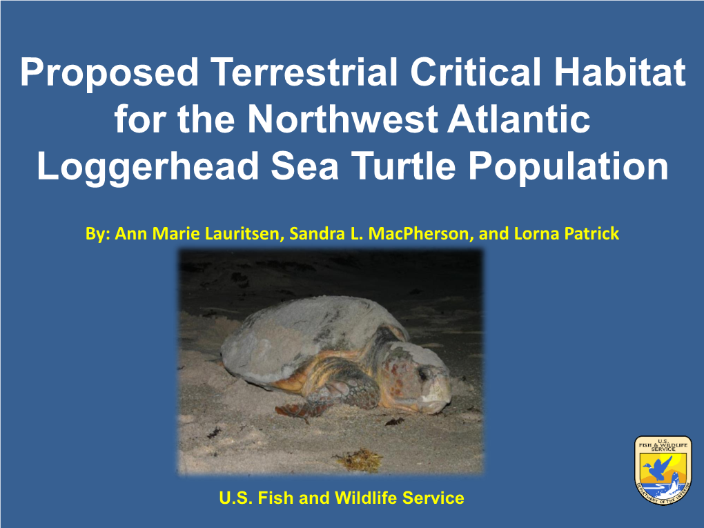 Loggerhead Critical Habitat Proposed Rule