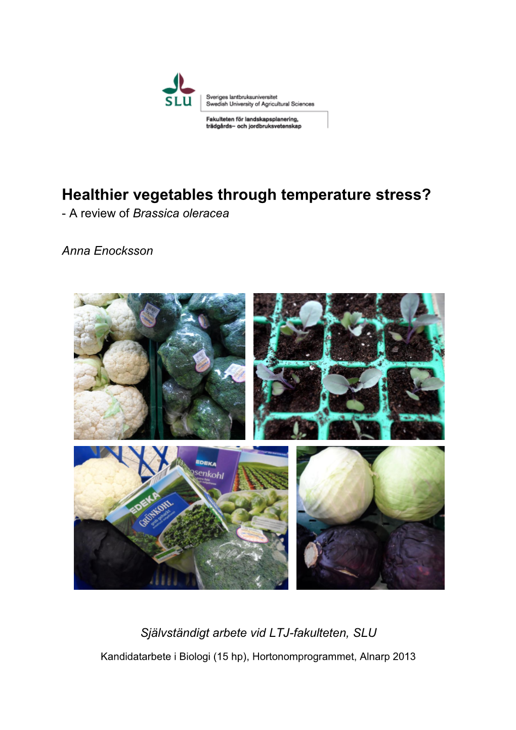Healthier Vegetables Through Temperature Stress? - a Review of Brassica Oleracea