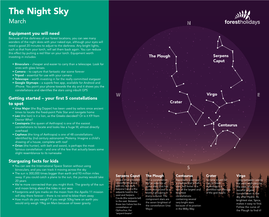 March Stargazing in the Forest