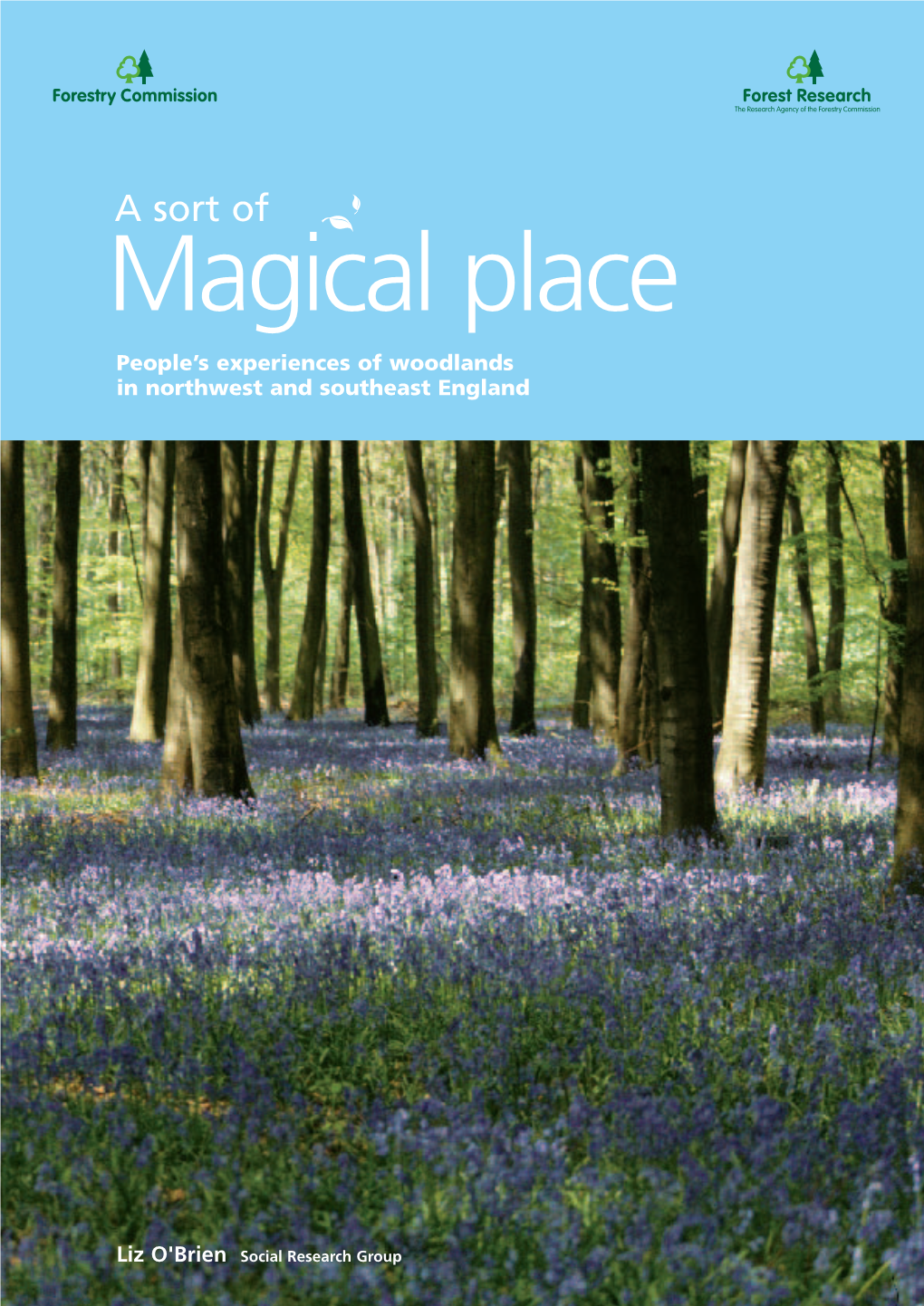 A Sort of Magical Place People’S Experiences of Woodlands in Northwest and Southeast England