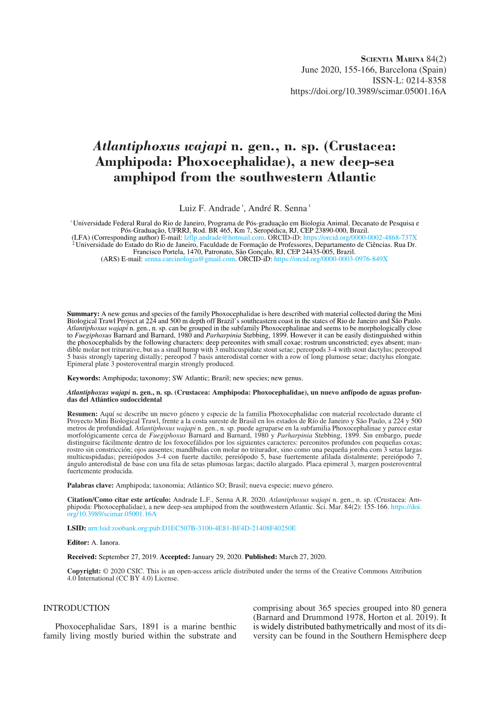 Crustacea: Amphipoda: Phoxocephalidae), a New Deep-Sea Amphipod from the Southwestern Atlantic