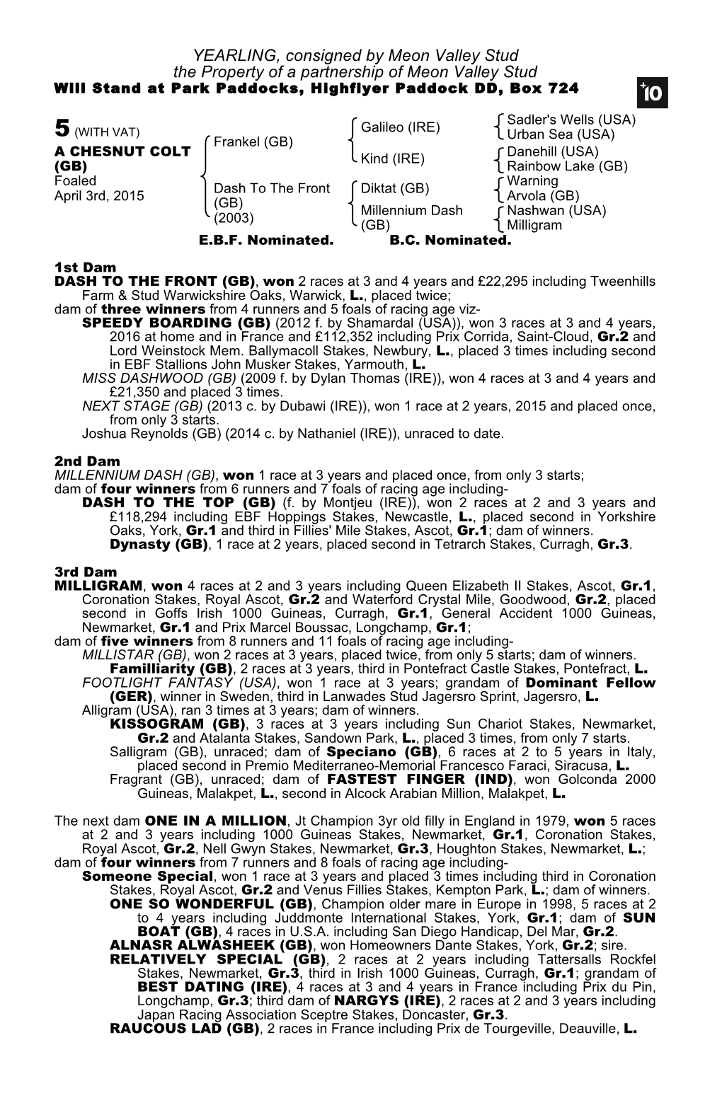 YEARLING, Consigned by Meon Valley Stud the Property of a Partnership of Meon Valley Stud Will Stand at Park Paddocks, Highflyer Paddock DD, Box 724