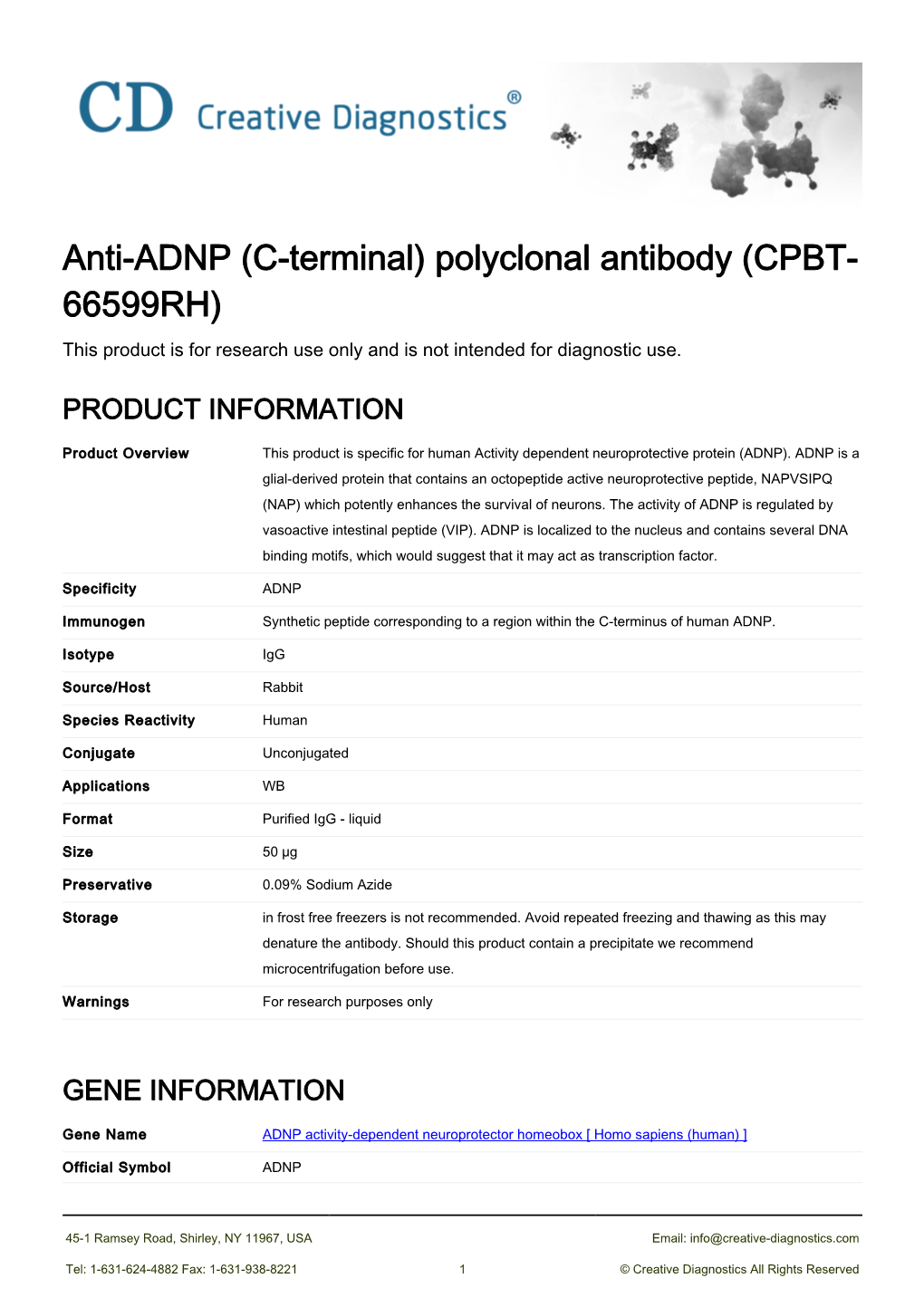 Anti-ADNP (C-Terminal) Polyclonal Antibody (CPBT- 66599RH) This Product Is for Research Use Only and Is Not Intended for Diagnostic Use