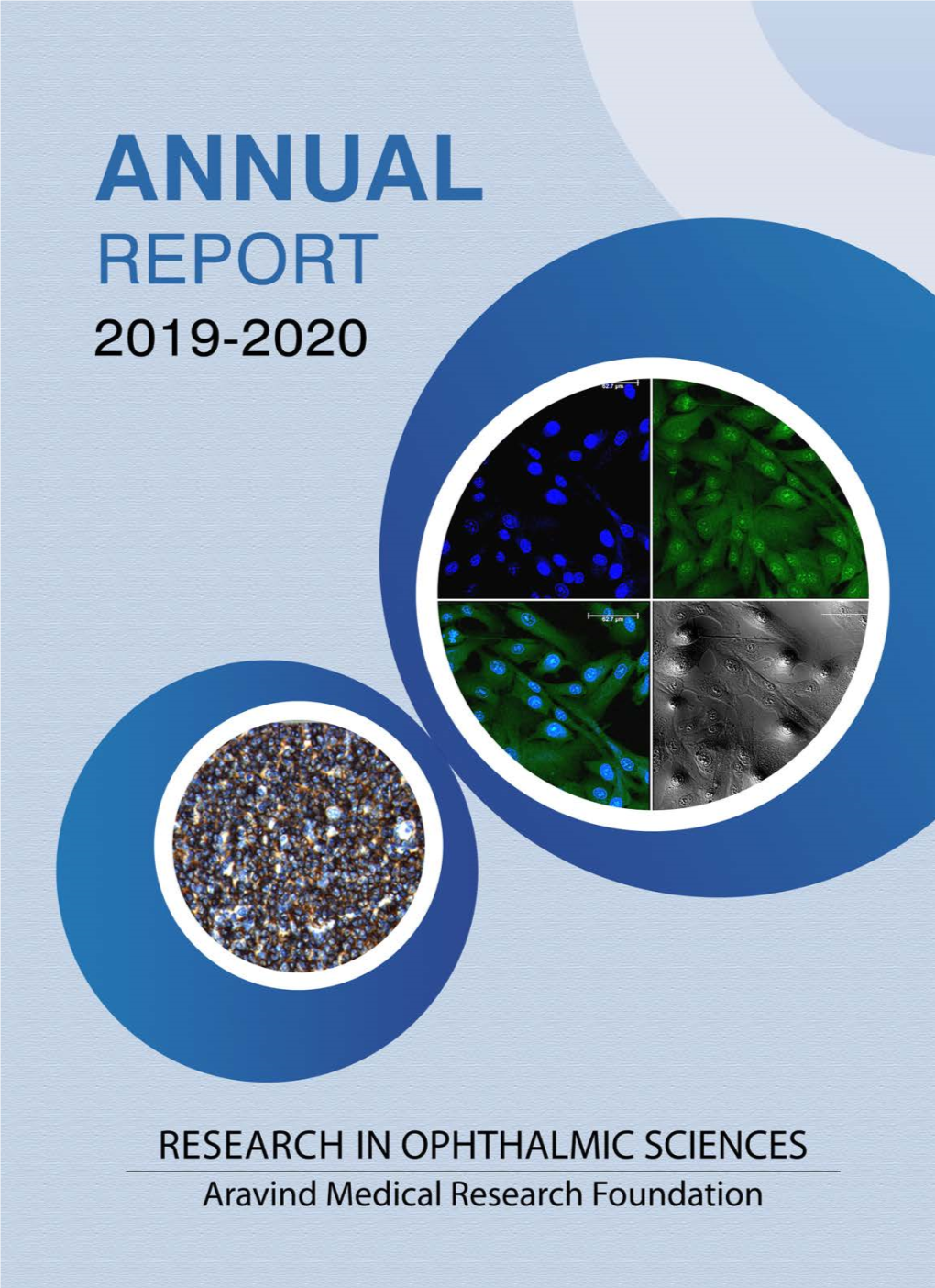 2019 - 2020 Aravind Medical Research Foundation