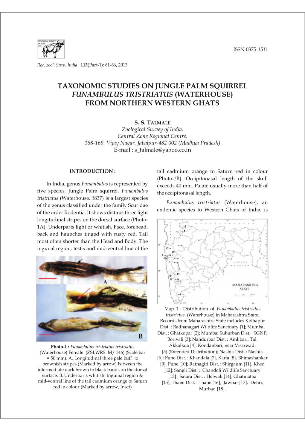 Taxonomic Studies on Jungle Palm Squirrel From