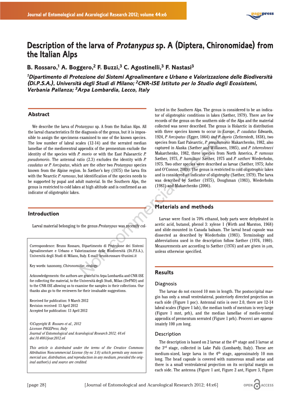 Description of the Larva of Protanypus Sp. a (Diptera, Chironomidae) from the Italian Alps B