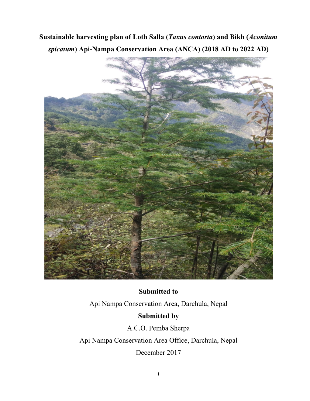 Sustainable Harvesting Plan of Loth Salla (Taxus Contorta) and Bikh (Aconitum Spicatum) Api-Nampa Conservation Area (ANCA) (2018 AD to 2022 AD)