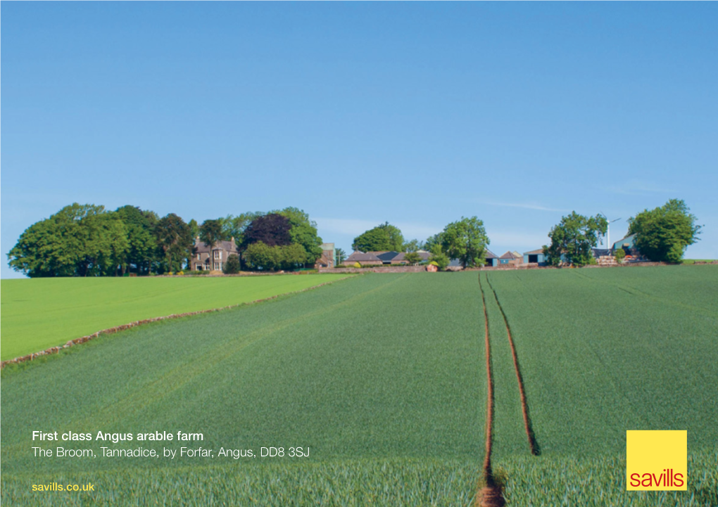 First Class Angus Arable Farm the Broom, Tannadice, by Forfar, Angus, DD8 3SJ Savills.Co.Uk