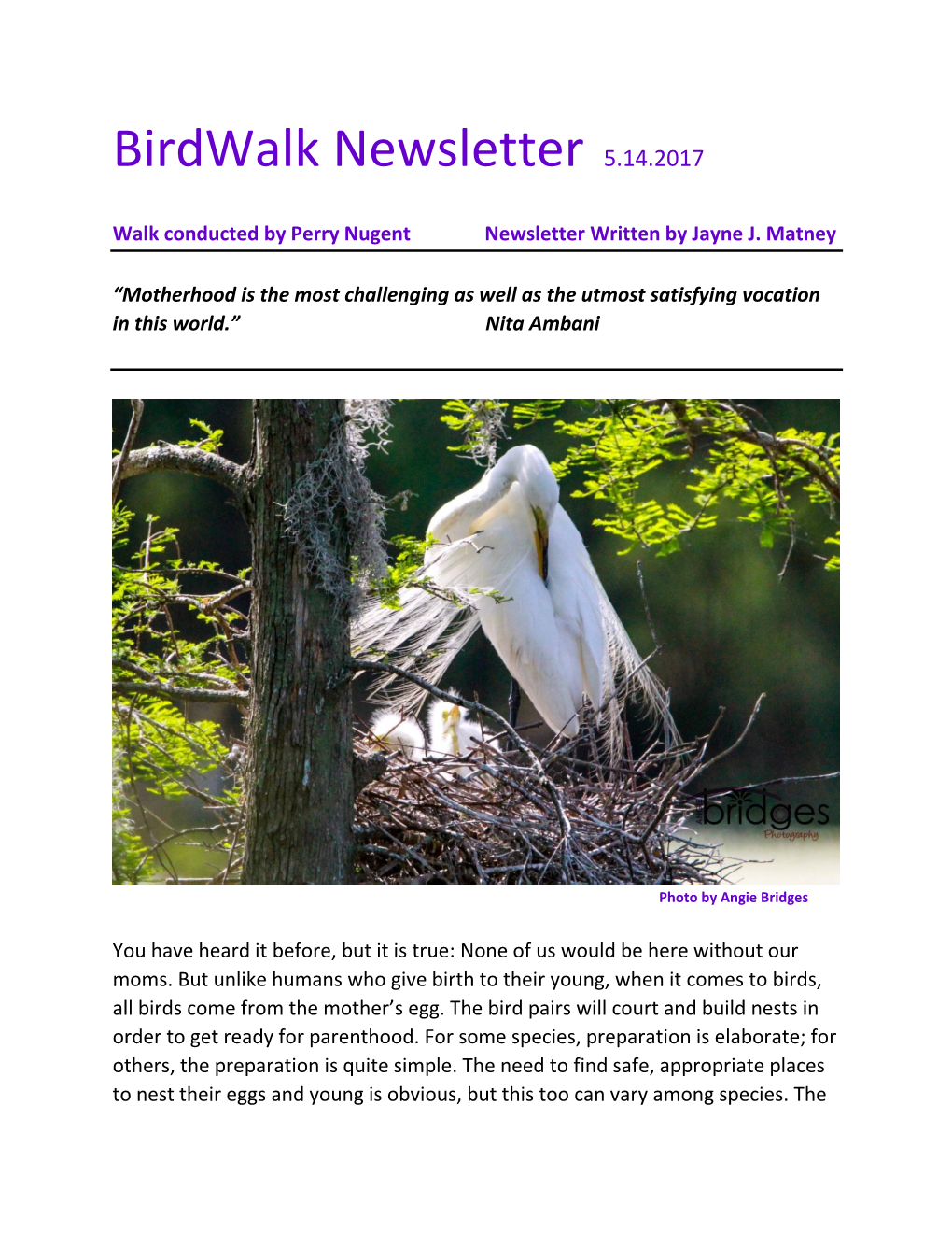 Birdwalk Newsletter 5.14.2017