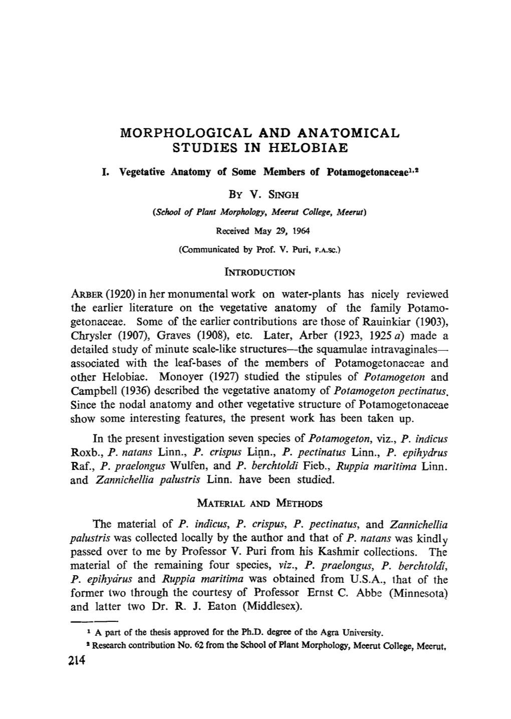 Morphological and Anatomical Studies in Helobiae