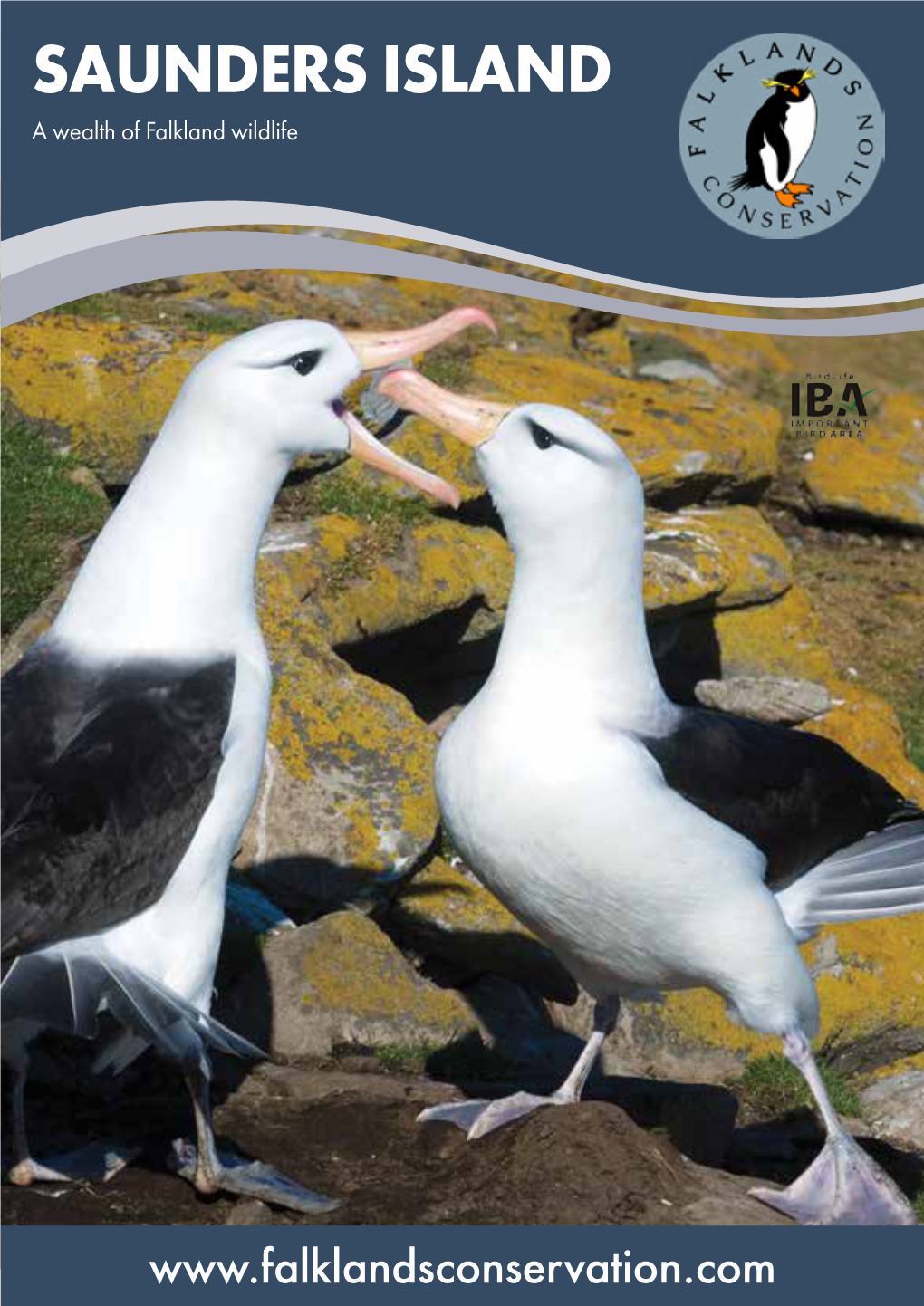 SAUNDERS ISLAND a Wealth of Falkland Wildlife