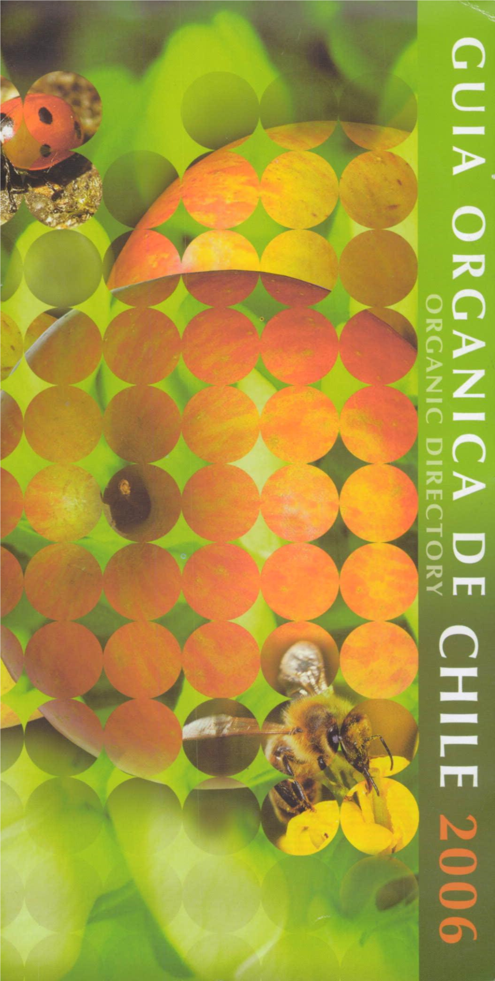 Guia Organica De Chile 2006.Pdf