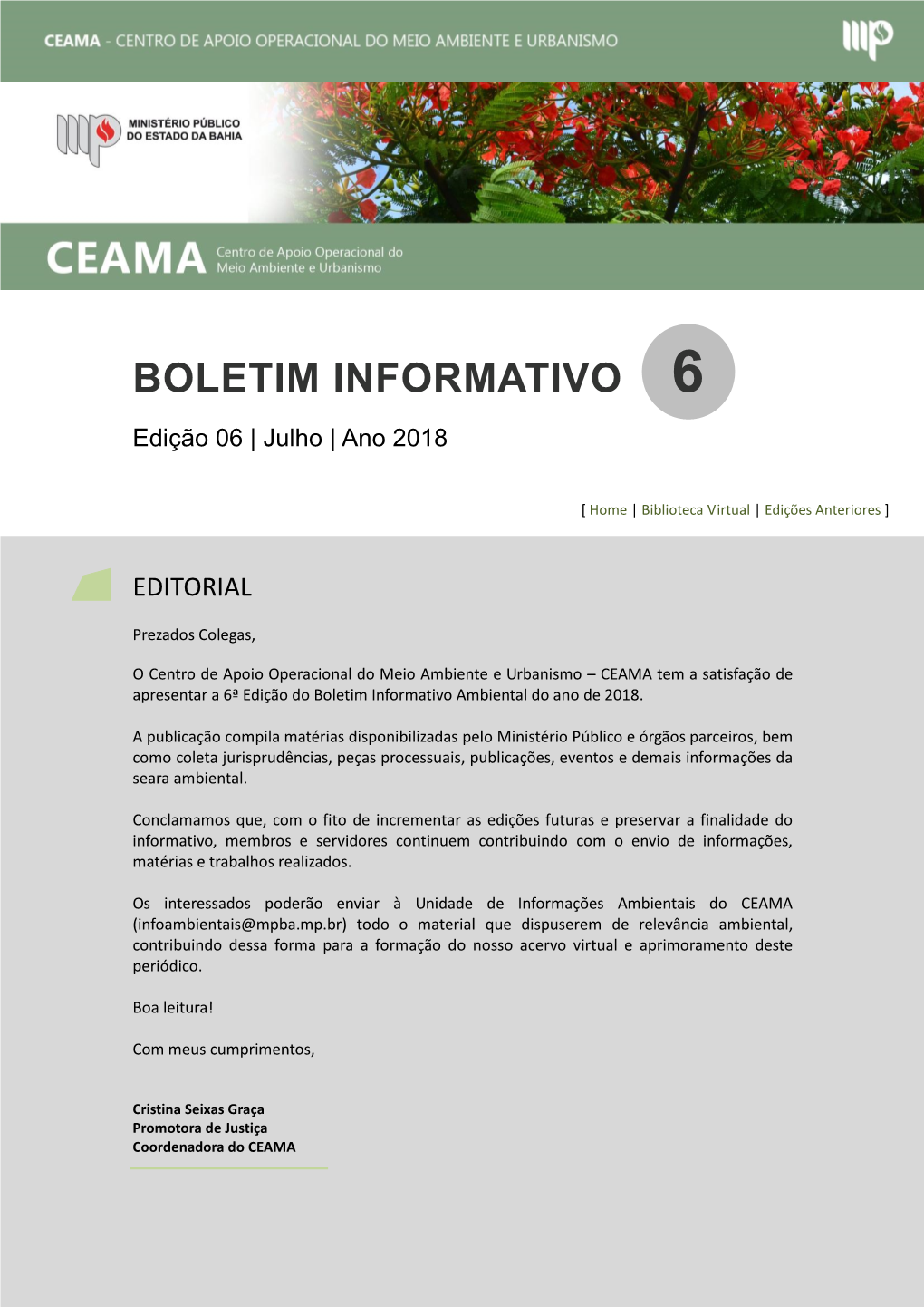 Boletim Informativo Do CEAMA 6ª Edição / 2018
